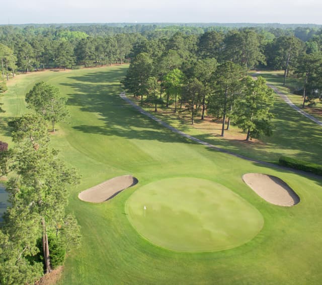 Eagle Nest